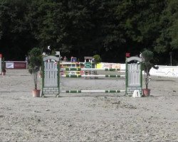 jumper Prime Time IV (Oldenburg show jumper, 2004, from Padarco van het Hertsveld)