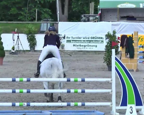 Jumper Cooper 57 (Mecklenburger, 2002, from Calido I)