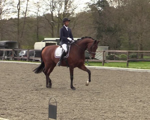 Reitturnier Schwanewede 2021