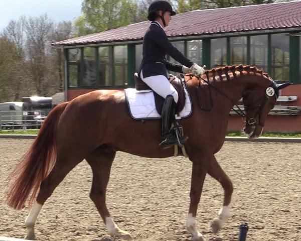 Reitturnier Schwanewede 2021