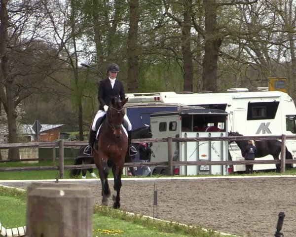 Reitturnier Schwanewede 2021