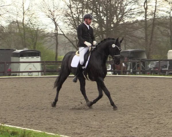 Reitturnier Schwanewede 2021