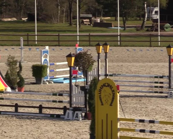 Reitturnier Westergellersen 2021