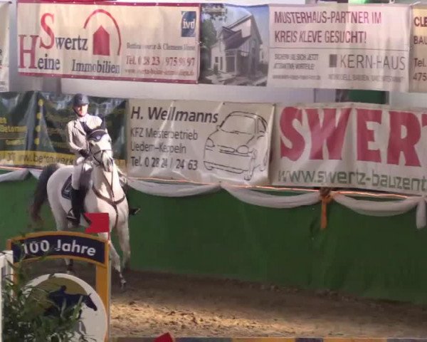 jumper Golden Maracaibo (Württemberger, 2003, from Golden Joy J)