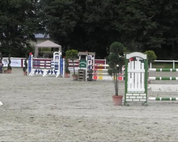 broodmare Florena (Westphalian, 2001, from Florestan I)