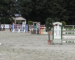 Yegua de cría Florena (Westfaliano, 2001, de Florestan I)