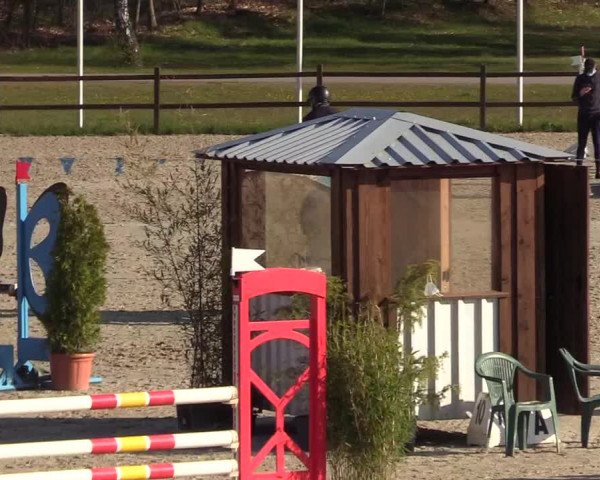 Reitturnier Westergellersen 2021