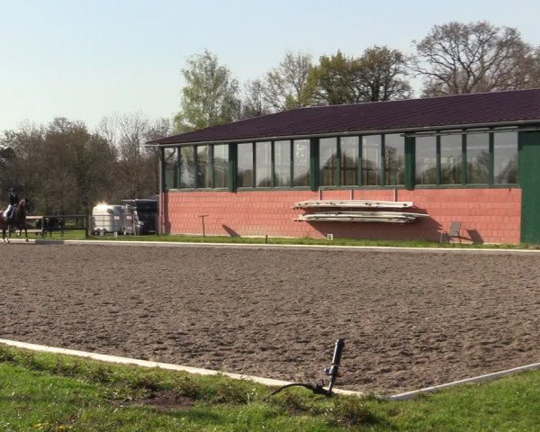 Reitturnier Schwanewede 2021