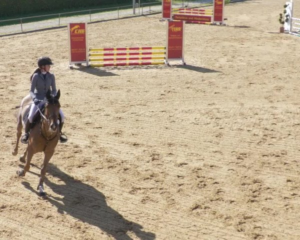 Reitturnier Zoltingen/Schw. 2021