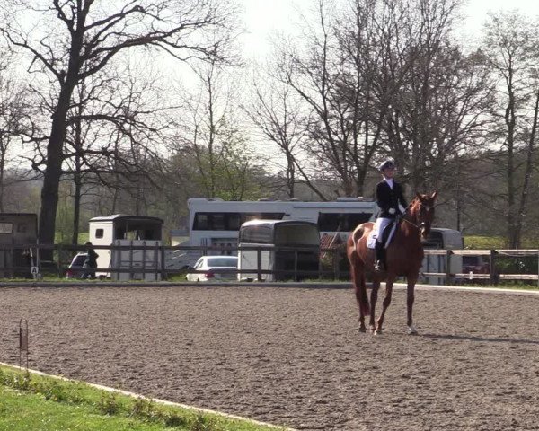 Reitturnier Schwanewede 2021