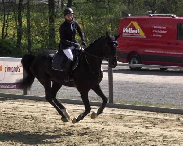 Reitturnier Winnenden 2021