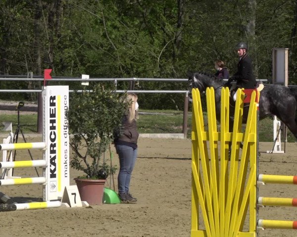 Reitturnier Winnenden 2021
