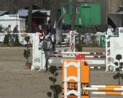 jumper Conni 18 (Westphalian, 2010, from Check In 2)