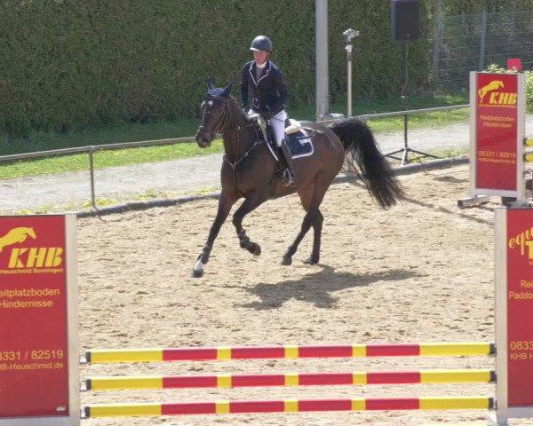 Reitturnier Zoltingen/Schw. 2021