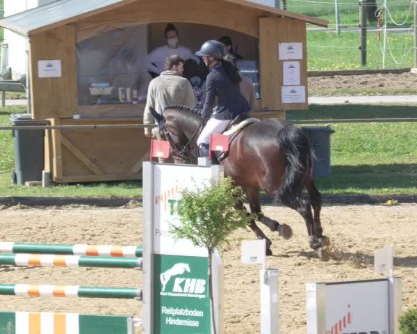 Reitturnier Zoltingen/Schw. 2021