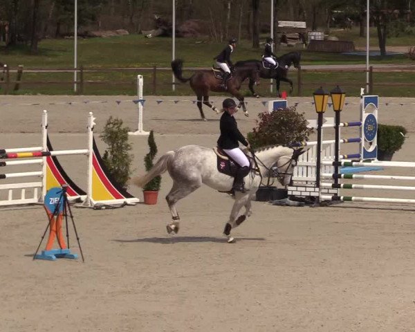 Reitturnier Westergellersen 2021