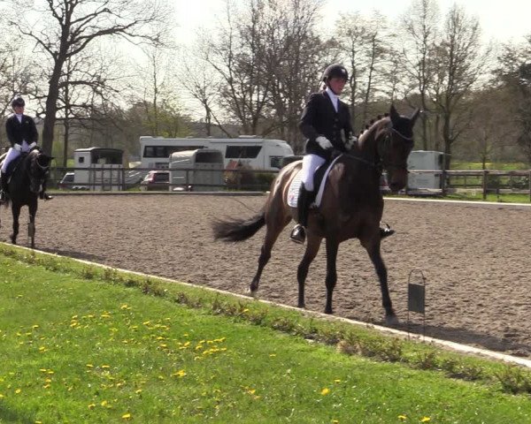 Reitturnier Schwanewede 2021