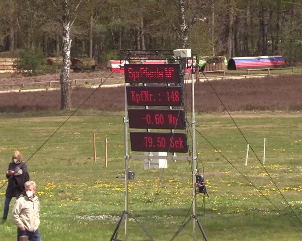 Reitturnier Westergellersen 2021