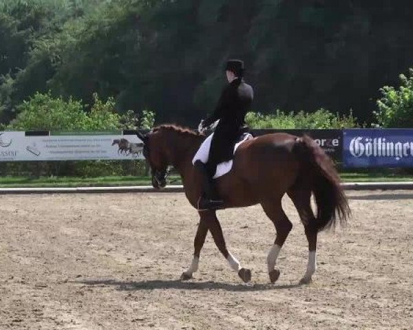 dressage horse Ambassador Las Marismas (Westphalian, 2000, from Abanos)