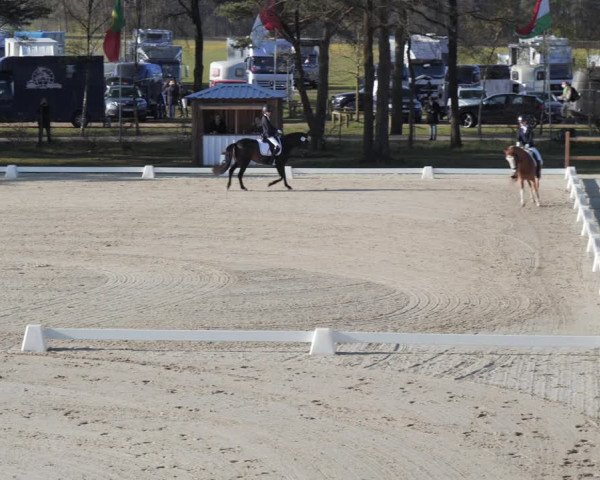 Reitturnier Westergellersen 2021