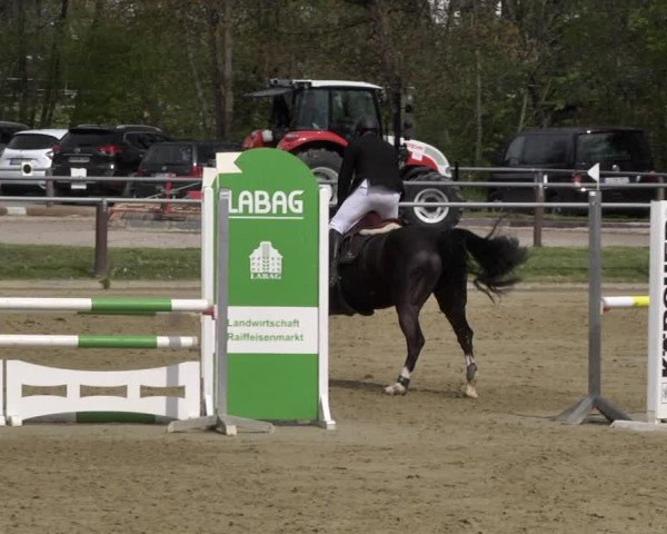Reitturnier Winnenden 2021