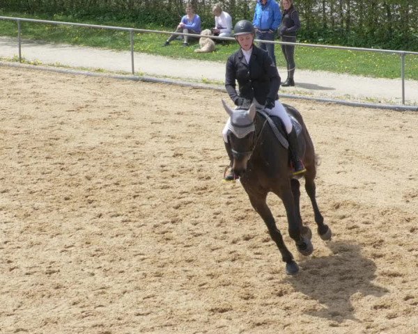 Reitturnier Zoltingen/Schw. 2021