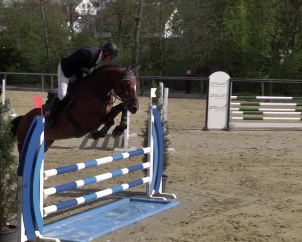 Reitturnier Winnenden 2021