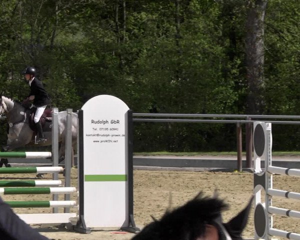 Reitturnier Winnenden 2021
