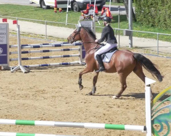 Reitturnier Zoltingen/Schw. 2021