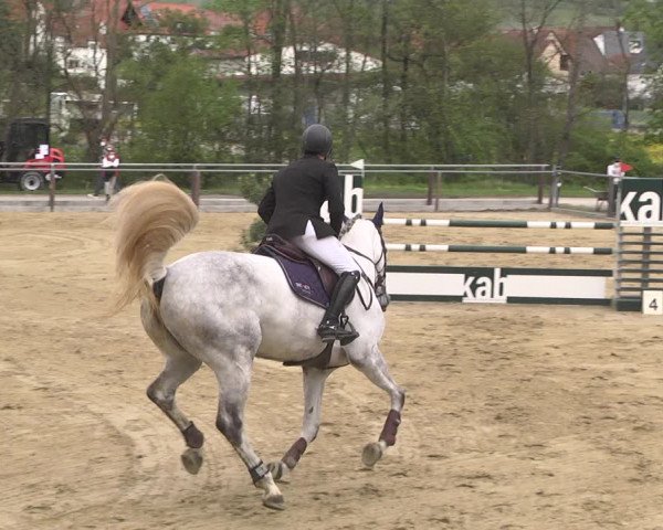 Reitturnier Winnenden 2021