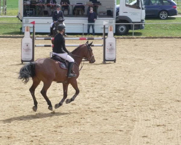 Reitturnier Zoltingen/Schw. 2021