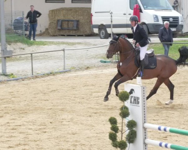 Reitturnier Zoltingen/Schw. 2021