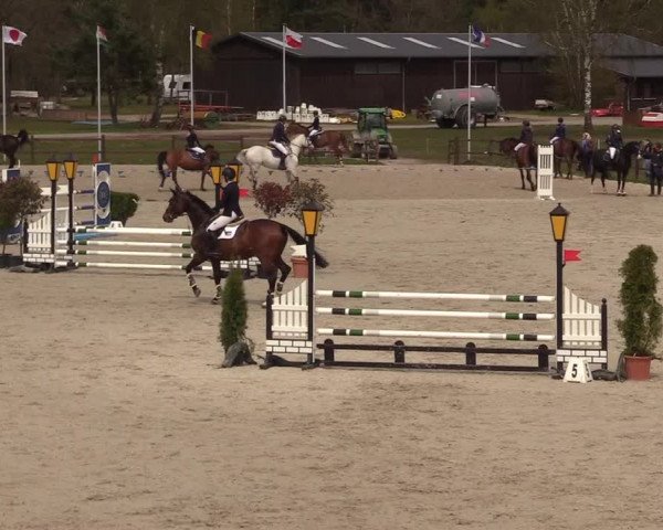 Reitturnier Westergellersen 2021