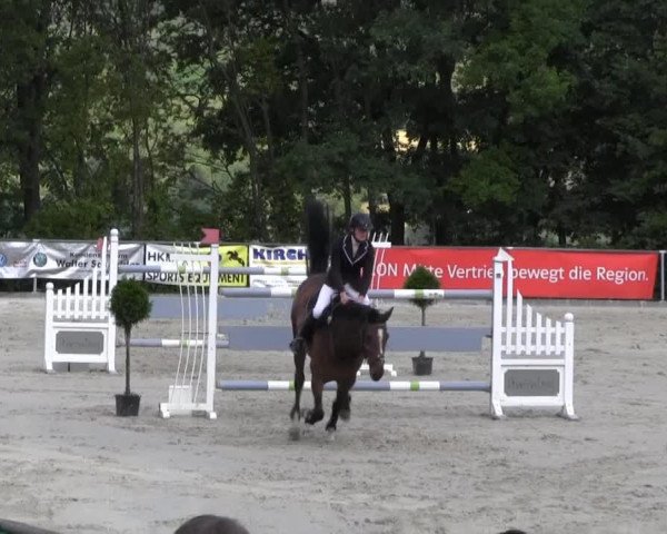 jumper Cruella Deville (Oldenburg, 2004, from Colman)