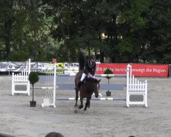 jumper Cruella Deville (Oldenburg, 2004, from Colman)