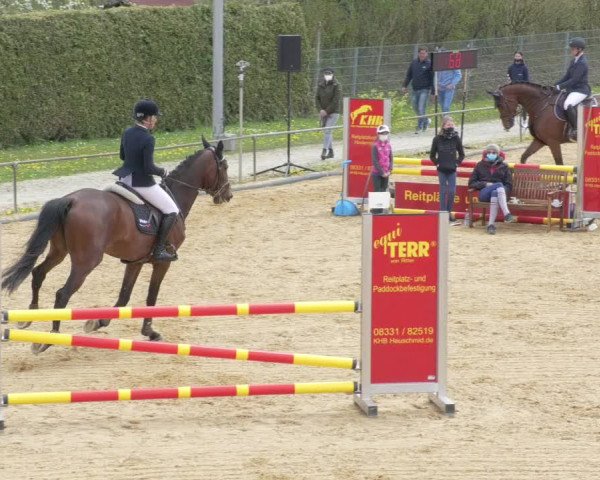 Reitturnier Zoltingen/Schw. 2021