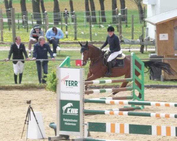 Reitturnier Zoltingen/Schw. 2021