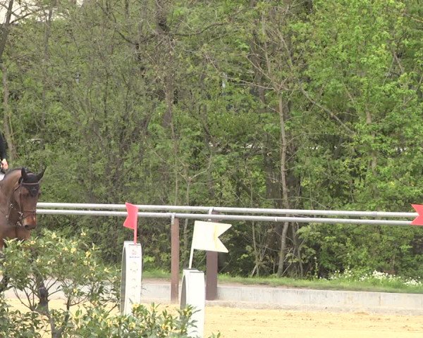 Reitturnier Winnenden 2021