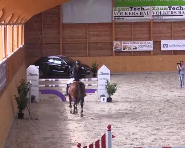 jumper Pik W (Hanoverian, 1999, from Pik L)