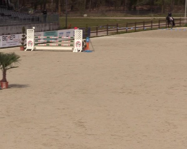 Reitturnier Westergellersen 2021