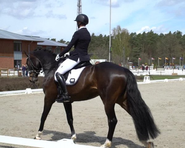 Reitturnier Westergellersen 2021