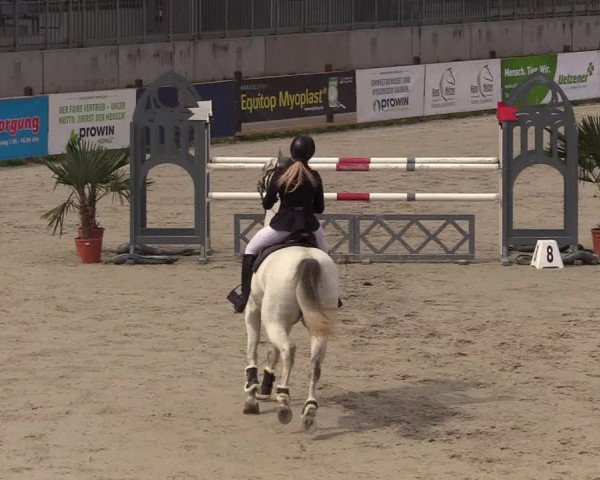 Reitturnier Westergellersen 2021