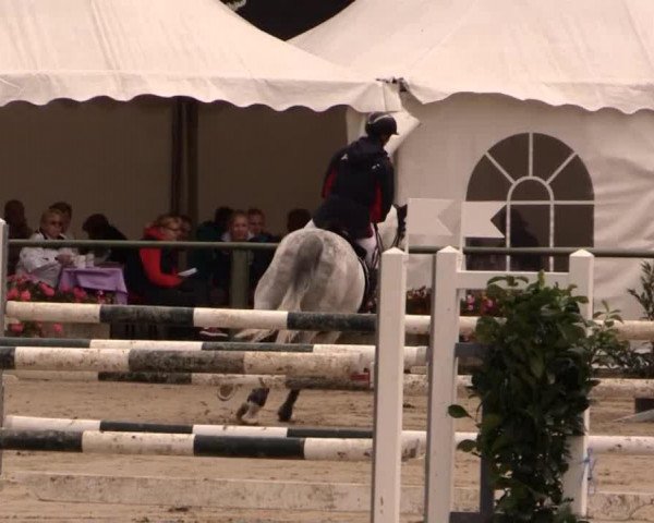 jumper Caspio (Mecklenburg, 2003, from Calato)