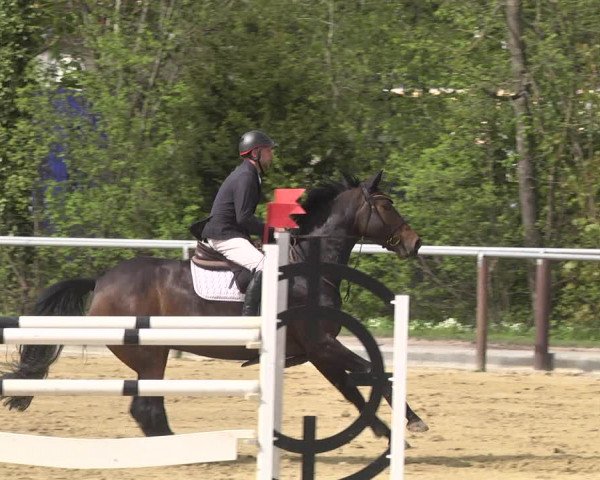 Reitturnier Winnenden 2021