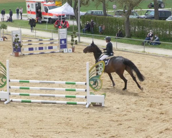 Reitturnier Zoltingen/Schw. 2021