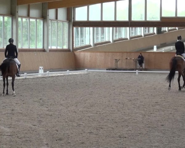 Reitturnier Neuss - Gut Altwahlscheid 2021