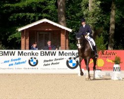 dressage horse Dorian Gray 47 (Hanoverian, 2005, from Don Picardi)