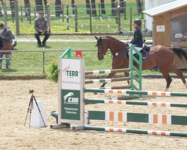 Reitturnier Zoltingen/Schw. 2021