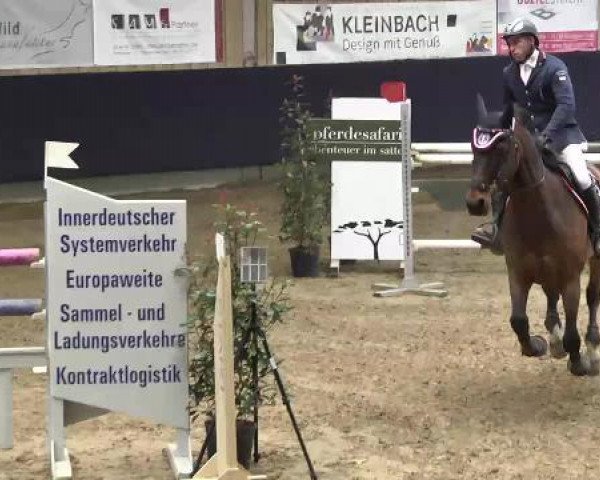 jumper Lucky Luck 17 (Hanoverian, 1999, from Laptop)