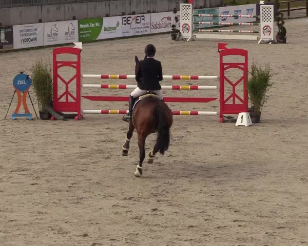 Reitturnier Westergellersen 2021